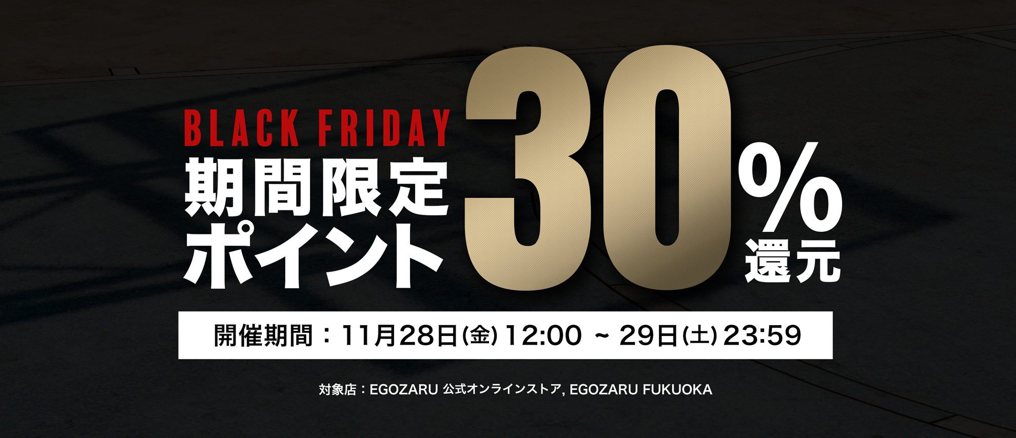 EGOZARUブラックフライデー「ポイント30%還元」キャンペーン開催