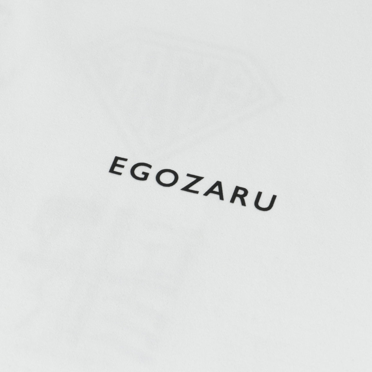 マルチビハインド オーバーサイズド Tシャツ(EZBH)