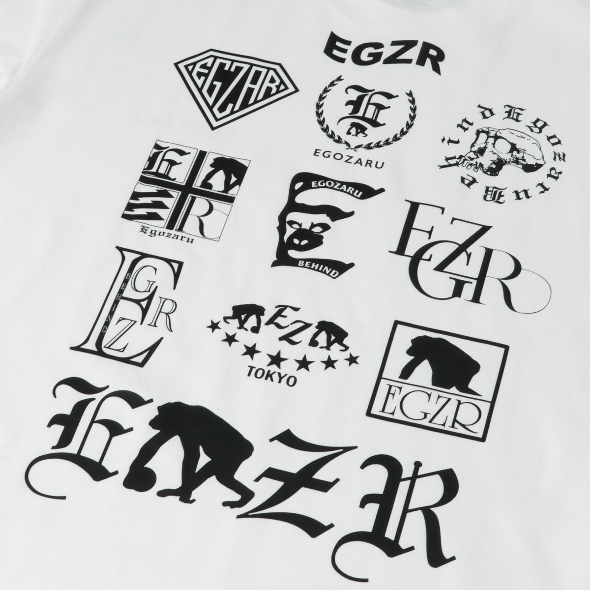マルチビハインド オーバーサイズド Tシャツ(EZBH)