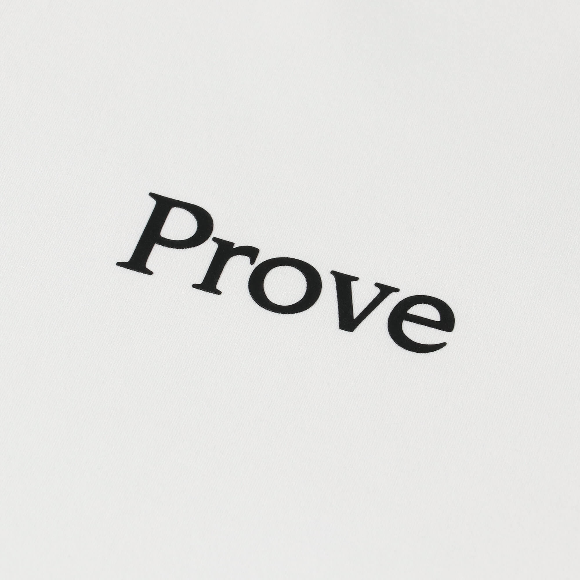 RIKU］Prove BIGシルエットTシャツ – EGOZARU ONLINE STORE | エゴザル