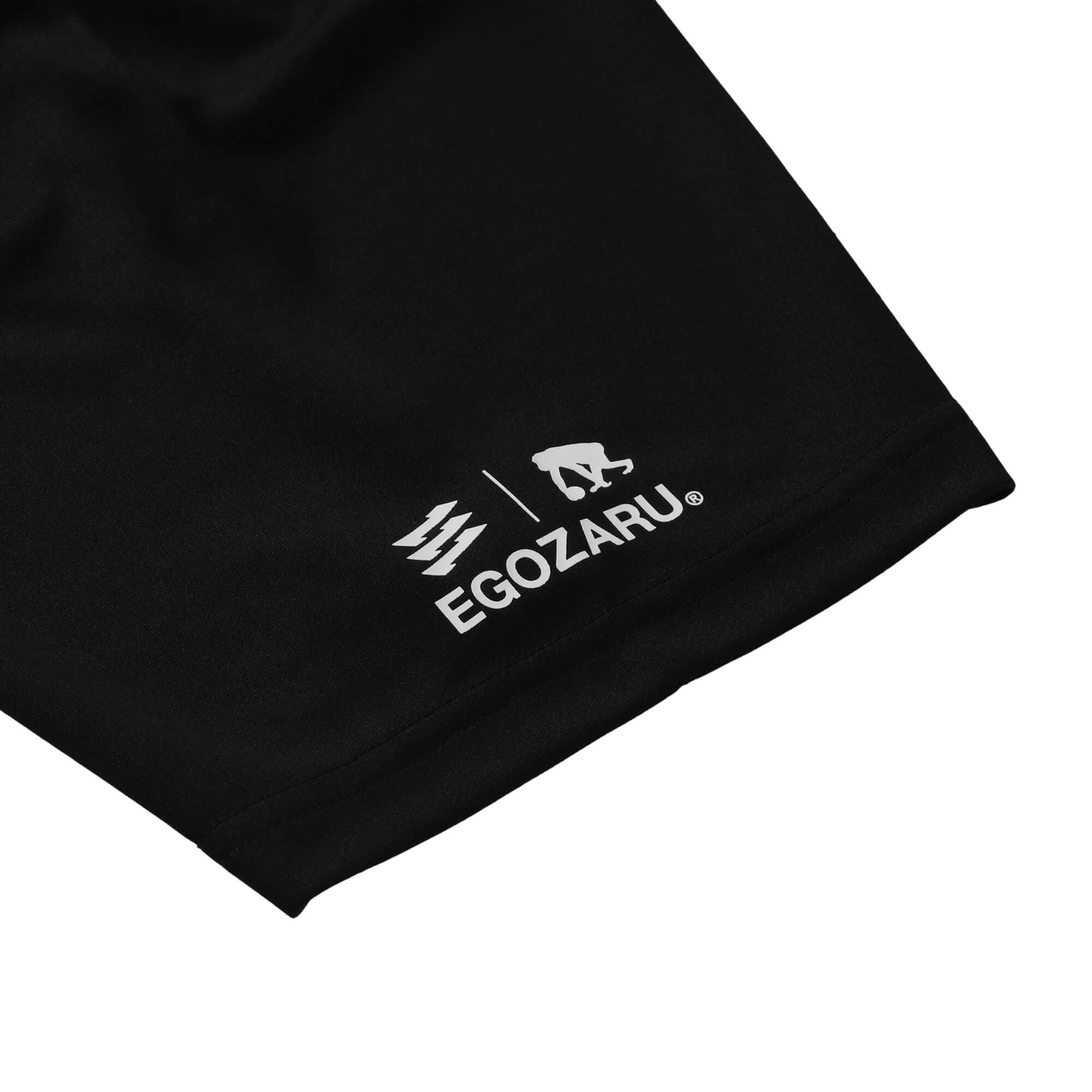 RIKU］Prove RSロゴ Tシャツ – EGOZARU ONLINE STORE | エゴザル公式