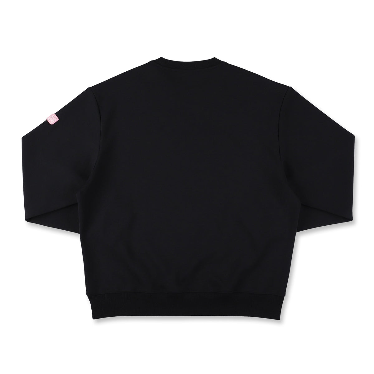 [RIKU] Prove RS sweat crew neck