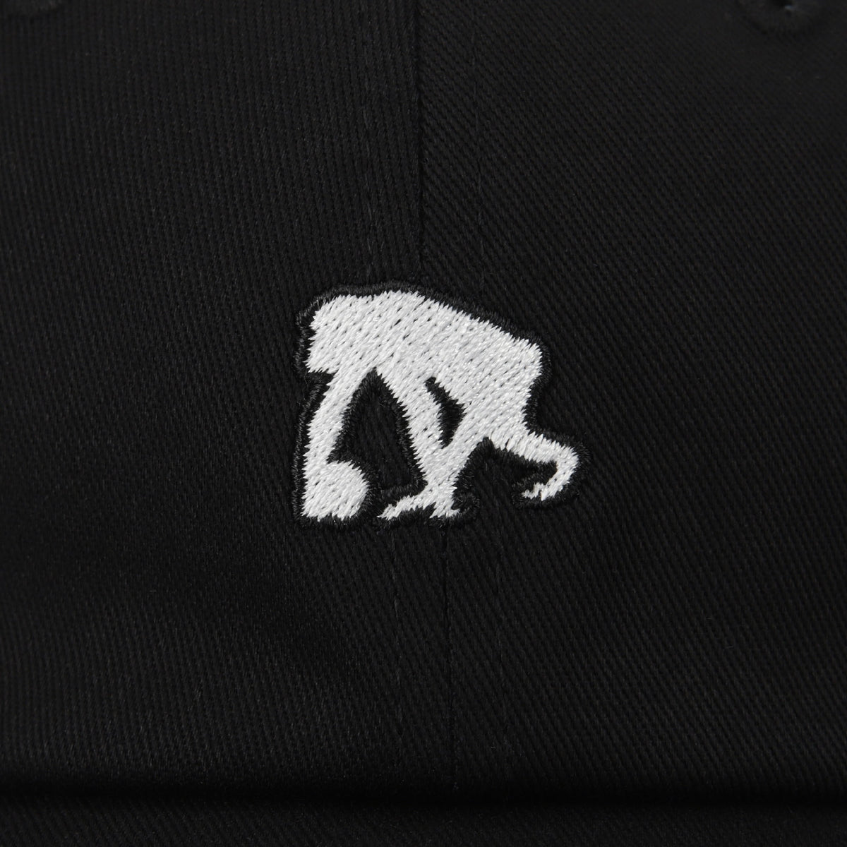 logo 6 panel cap