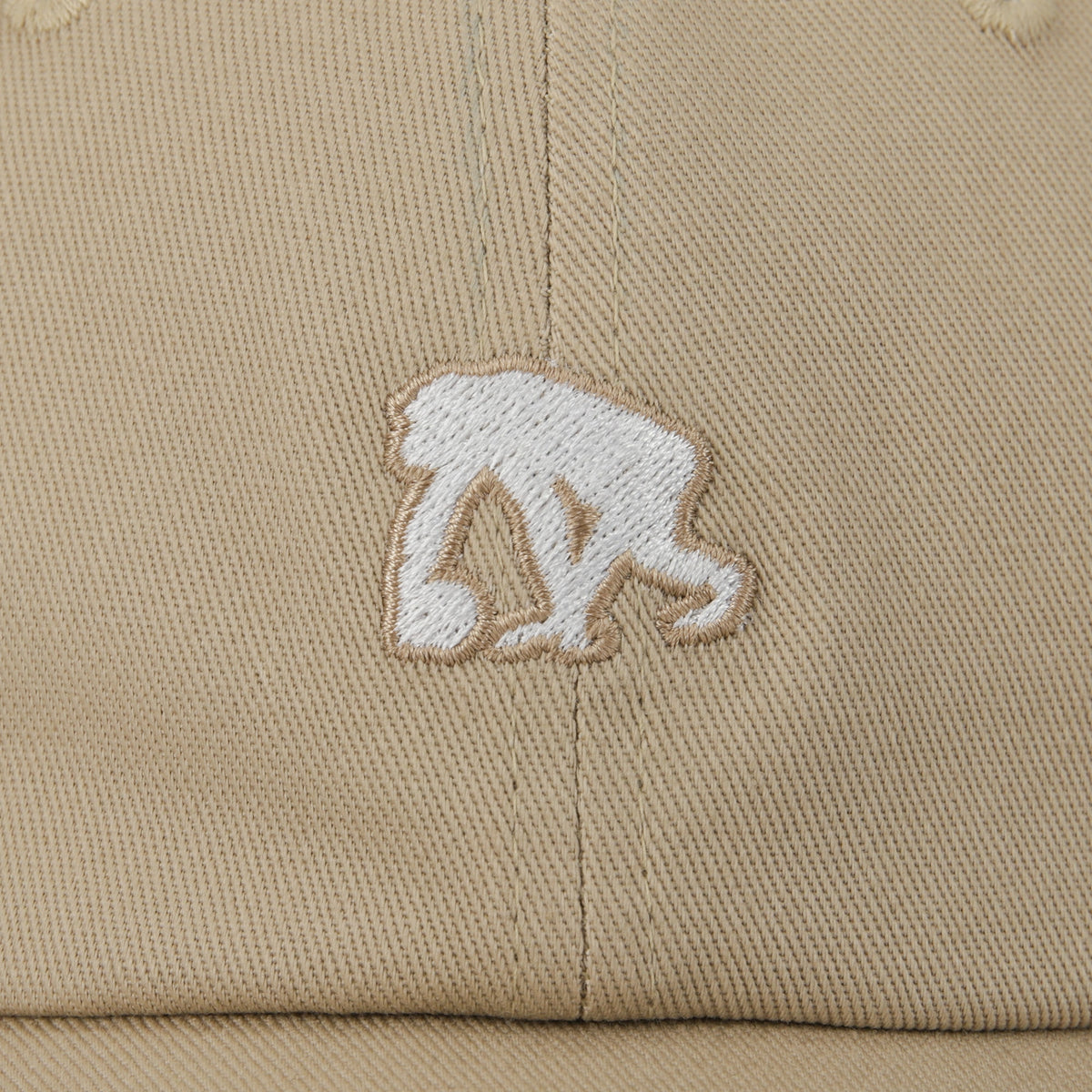 logo 6 panel cap