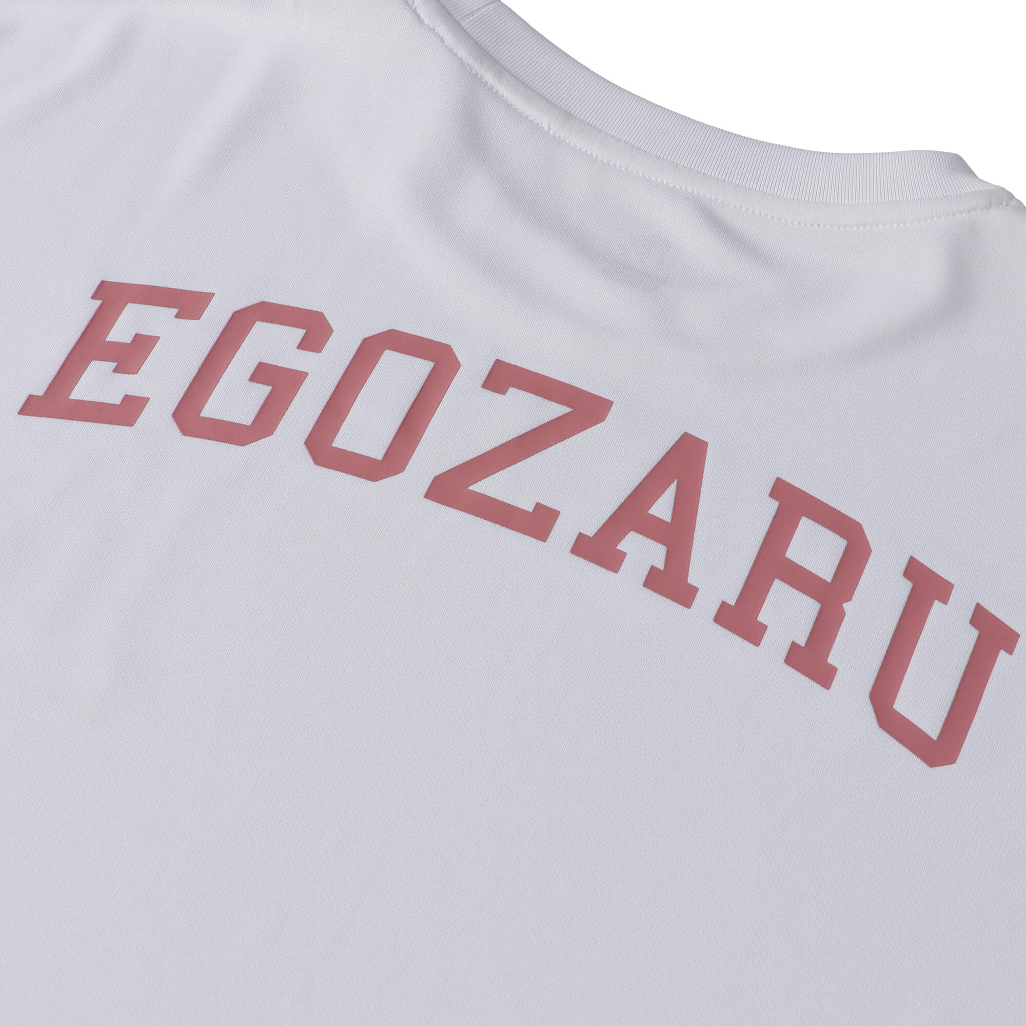 カレッジロゴ ロングスリーブTシャツ – EGOZARU ONLINE STORE