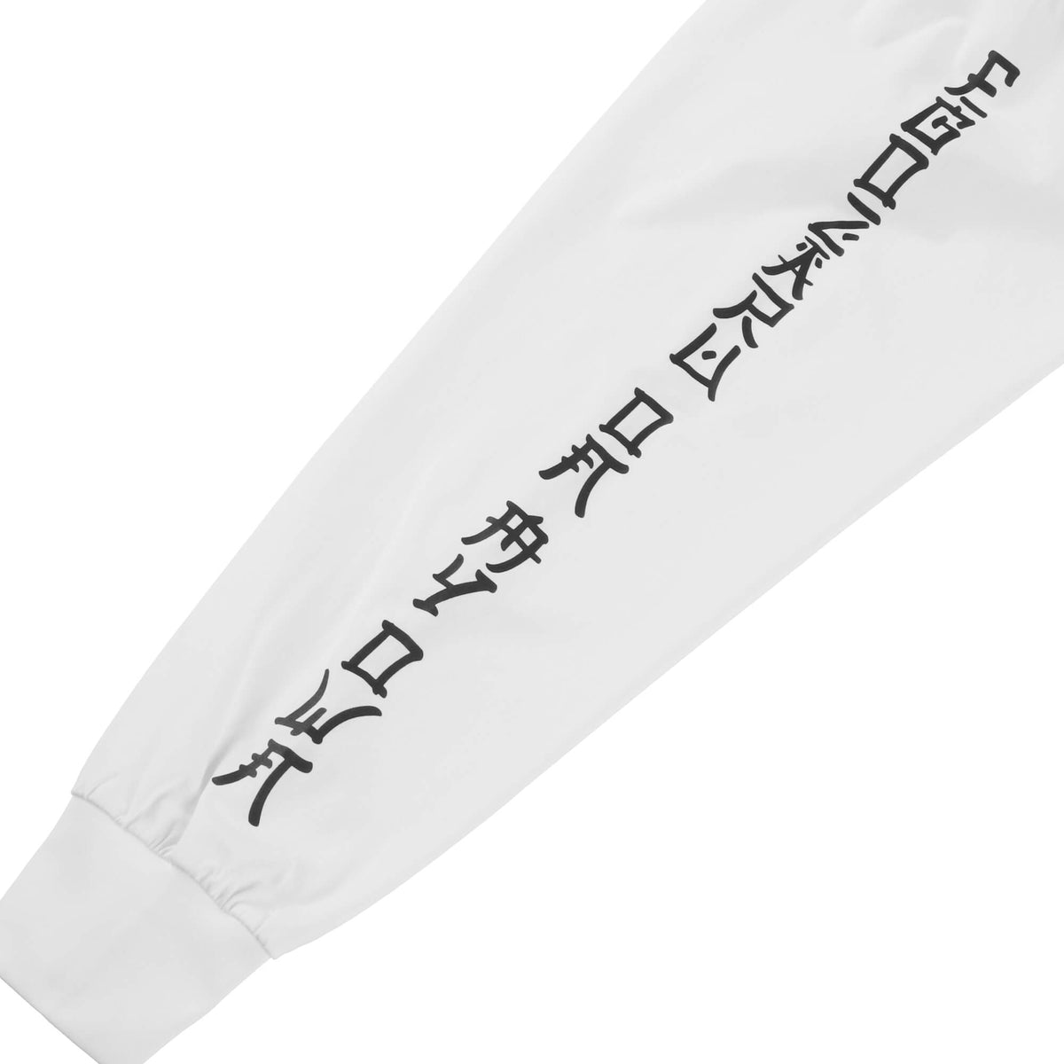 BIGシルエット オリエンタルスリーブロゴ ロングスリーブTシャツ