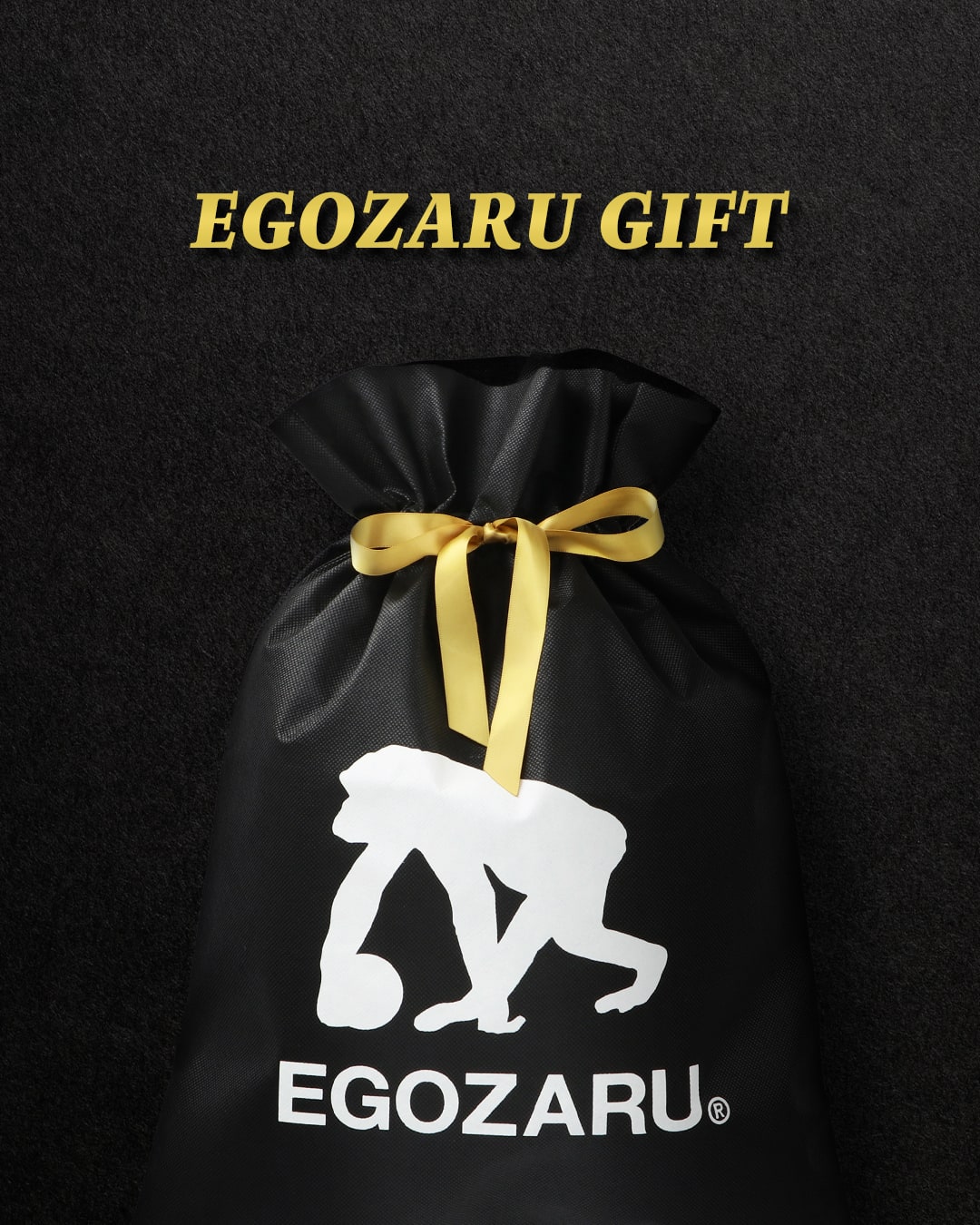 EGOZARU(エゴザル)｜日本発のバスケットボールブランド – EGOZARU