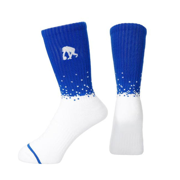 0524173533_5ce7acd55a9bb_b2472