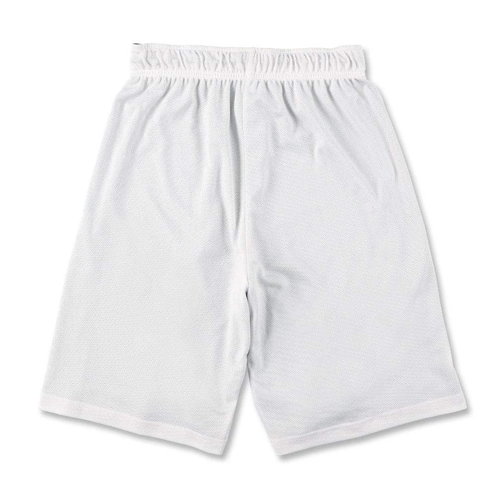 Reversible mesh shorts